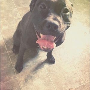 Meet your Posher, Kirk